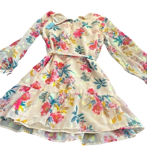 Fairy Sheer Cinched Puff Sleeve Iridescent Mini Dress Floral NEW NWT Lantern y2k